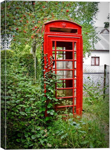 An abandoned red telephone kiosk at Buckfastleigh, Devon, UK. Canvas Print by Peter Bolton