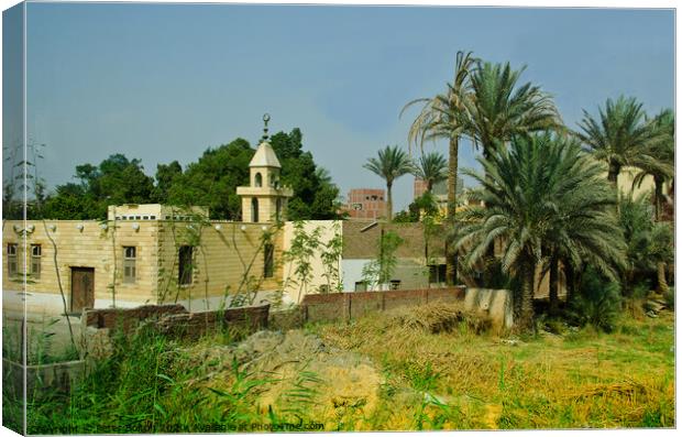 House on the banks of the Nile, Egypt. Canvas Print by Peter Bolton