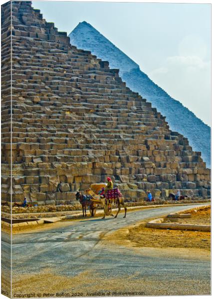 Majestic Pyramids of Giza Canvas Print by Peter Bolton