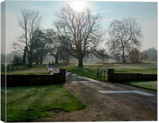 Early morning runners at Hylands Park, Chelmsford, Essex, UK. Canvas Print by Peter Bolton