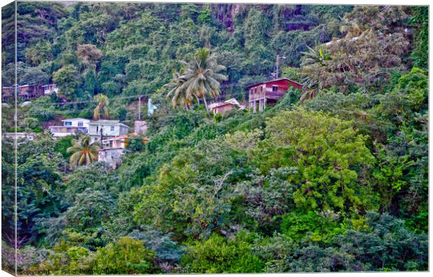 Houses on the slopes of a heavily wooded hill, Barbados. Canvas Print by Peter Bolton