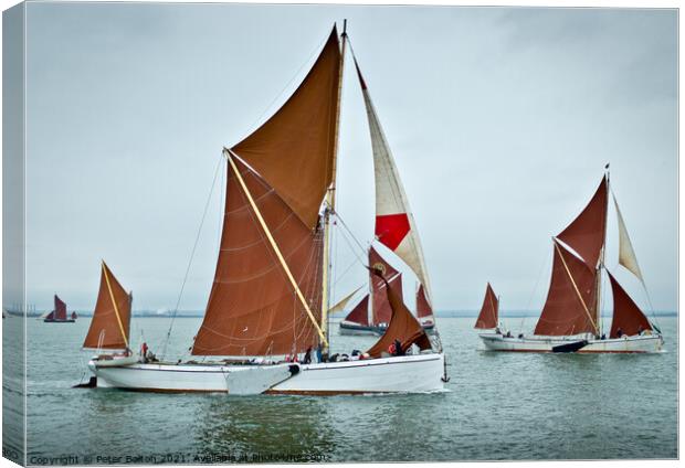 Thames sailing barges racing off Southend on Sea, Thames Estuary, Essex. Canvas Print by Peter Bolton