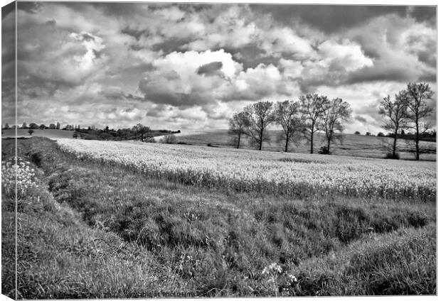 View across fields at Hanningfield, Essex, UK. Canvas Print by Peter Bolton