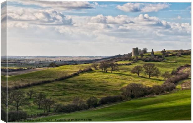 Landscape at Hadleigh in Essex including ruins of Hadleigh Castle Canvas Print by Peter Bolton
