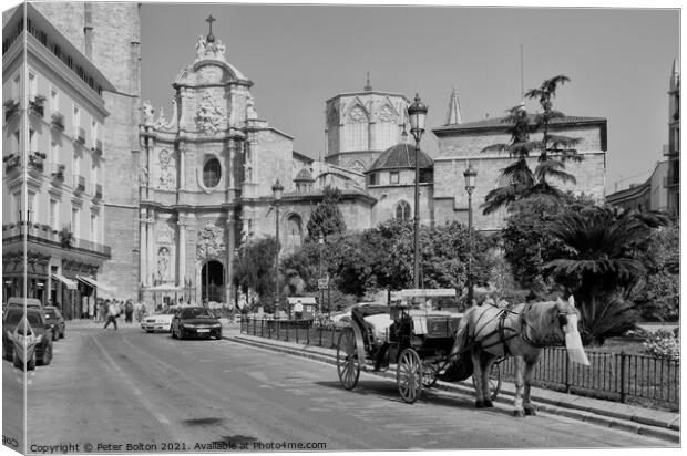 A horse drawn carriage in Malaga, Spain. Black and white. Canvas Print by Peter Bolton