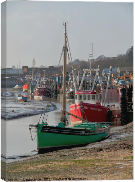 Old Leigh, Leigh on Sea, Thames Estuary, Essex, UK. Canvas Print by Peter Bolton