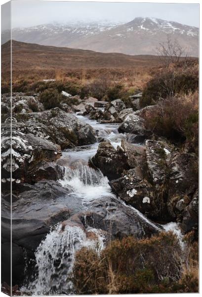 Bonnie Scotland  Canvas Print by Carla Maloco