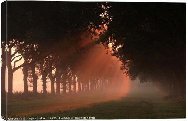 Rays of light though the mist Canvas Print by Angela Redrupp