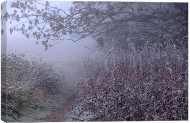 Walk through in the misty, frosty morning Canvas Print by Angela Redrupp