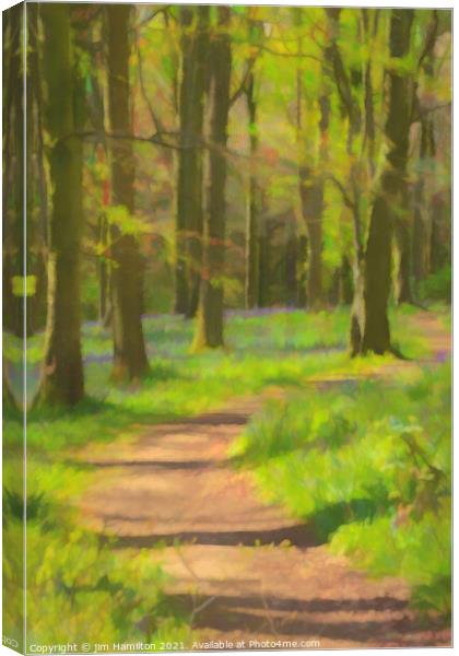 Bluebell forest Canvas Print by jim Hamilton