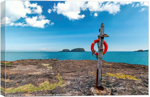 Safety at Sea Canvas Print by jim Hamilton