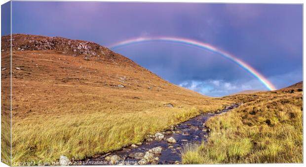 Rural Donegal Ireland Canvas Print by jim Hamilton