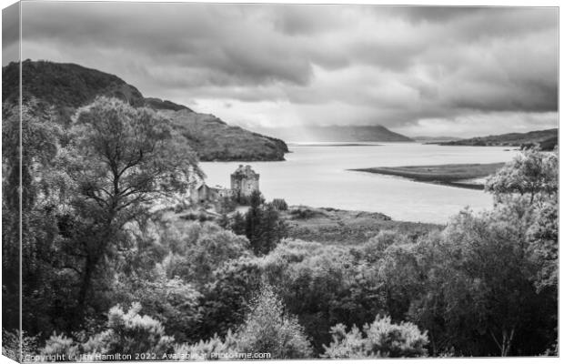 Eilean Donan castle and Loch Alsh Canvas Print by jim Hamilton