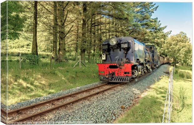 Welsh Highland Railway, Snowdonia, Wales Canvas Print by jim Hamilton