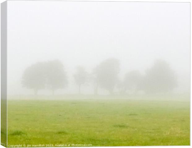 A Foggy Morning Canvas Print by jim Hamilton