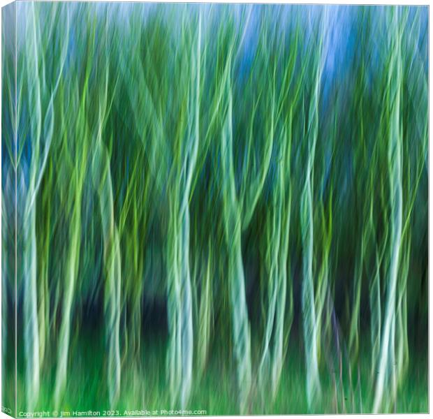 Trees in motion Canvas Print by jim Hamilton