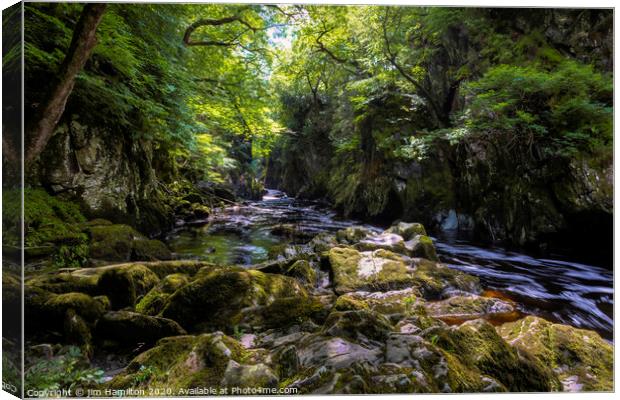 Fairy Glen, Snowdonia Wales Canvas Print by jim Hamilton