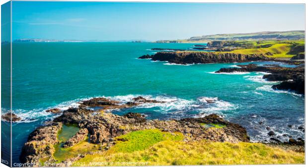 Causeway coast Northern Ireland Canvas Print by jim Hamilton