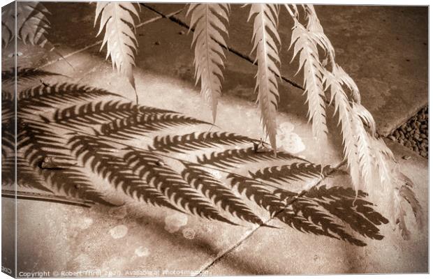 Fern and shadow Canvas Print by Robert Thrift