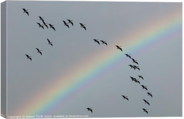 Geese and rainbow, Dee Estuary Canvas Print by Robert Thrift