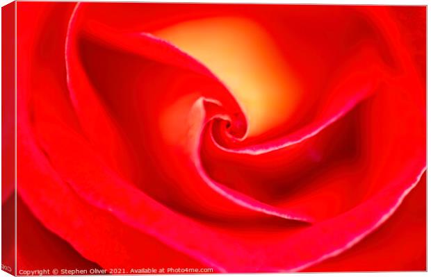 Abstract Red rose Canvas Print by Stephen Oliver
