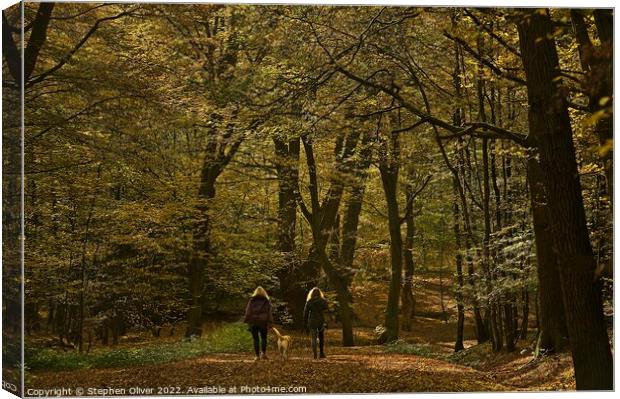 Morning walk Canvas Print by Stephen Oliver