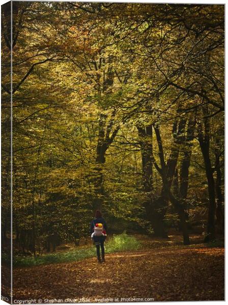 Morning Stroll  Canvas Print by Stephen Oliver