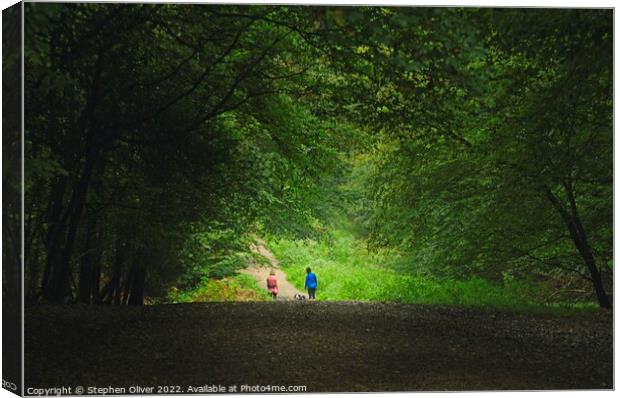 Through the Arch  Canvas Print by Stephen Oliver