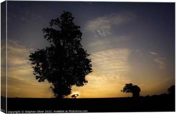 Setting Sun Canvas Print by Stephen Oliver