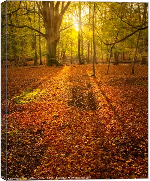 Sun Beam Canvas Print by Stephen Oliver