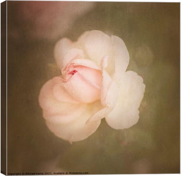 A rose called Jasmine Canvas Print by Michael Kemp