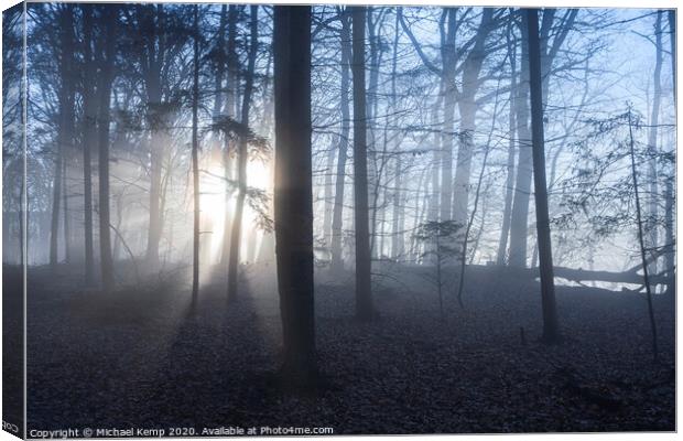 Misty forest Canvas Print by Michael Kemp