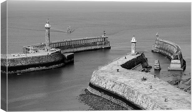 Whitby Harbour Entrance Canvas Print by Nige Morton