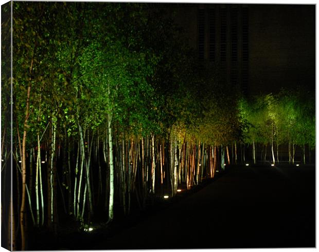 Trees at night  Canvas Print by Tristan Lea