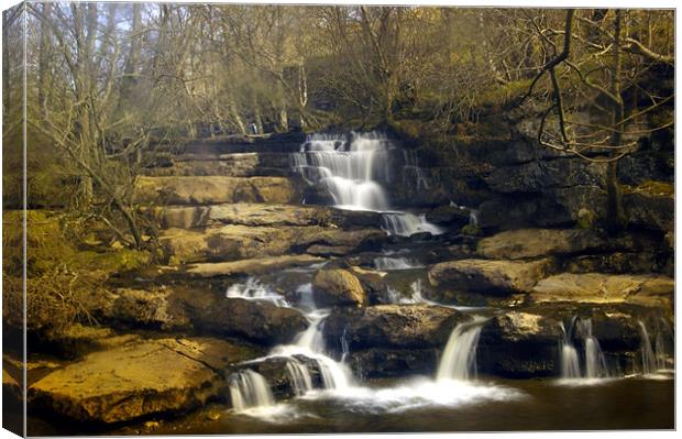 East Gill Falls Canvas Print by David Borrill