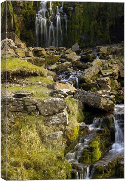 Waterfall Yorkshire Dales Canvas Print by David Borrill
