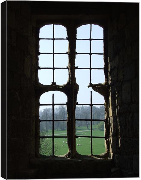 Old Window  Canvas Print by Christopher Borrill-Townsend