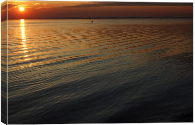 sunset at Paull Canvas Print by elisa reece