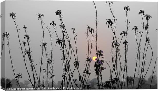 Sun-rise Canvas Print by Bhagwat Tavri