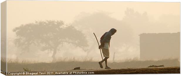 A Misty Morning Canvas Print by Bhagwat Tavri