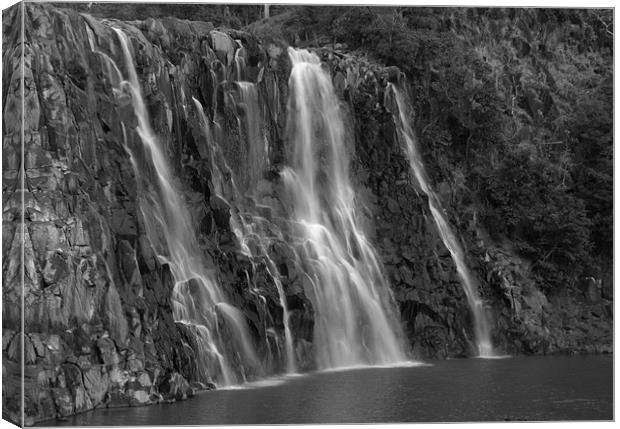 Waterfall at Ramdah India Canvas Print by T R   Bala subramanyam