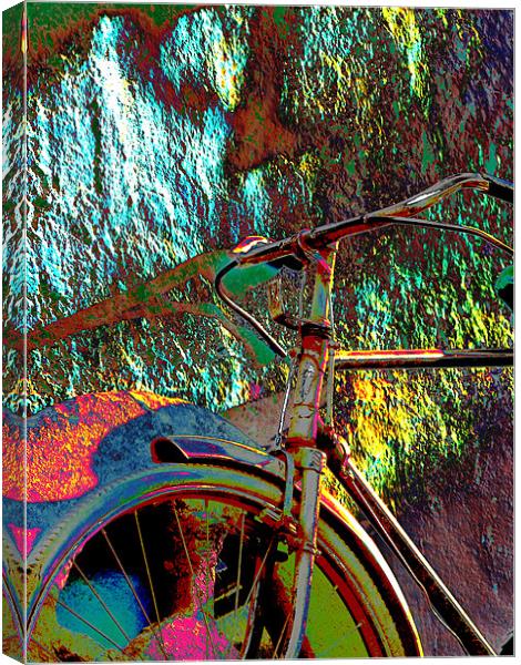 Old Bicycle Canvas Print by T R   Bala subramanyam