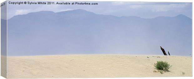 Death Valley Canvas Print by Sylvia White