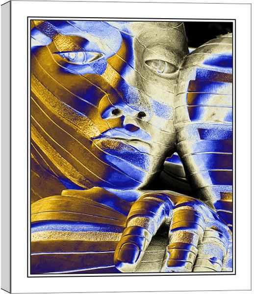 The Face Canvas Print by Steve White