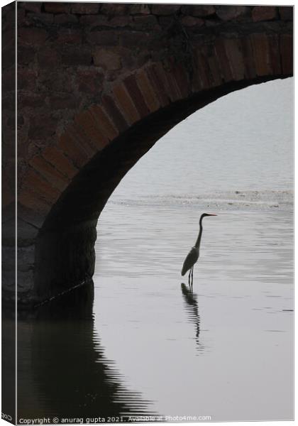 Under a Bridge Canvas Print by anurag gupta