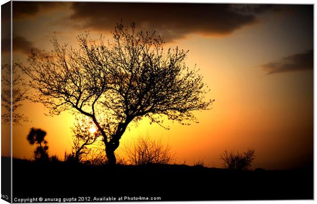 serene sunset Canvas Print by anurag gupta