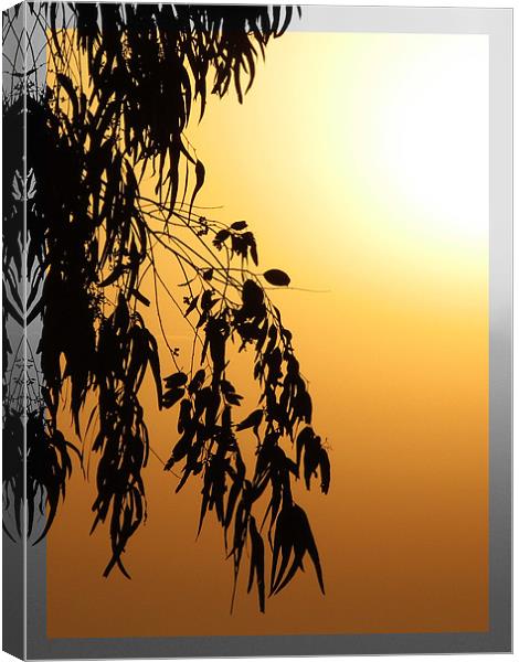 morning glory Canvas Print by anurag gupta