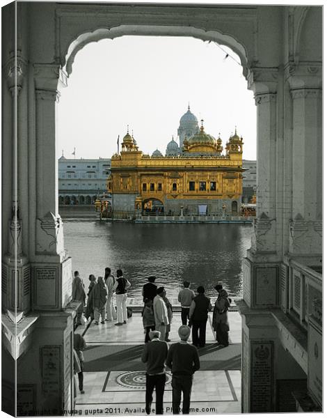 the golden wonder Canvas Print by anurag gupta