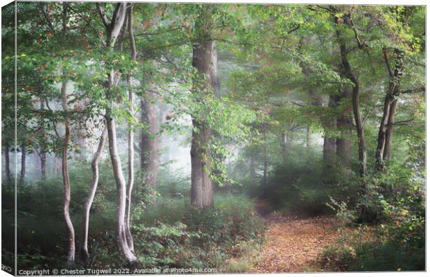 Autumnal Scene - English Wood Canvas Print by Chester Tugwell