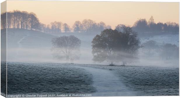 Petworth Park - Winter Morning Canvas Print by Chester Tugwell